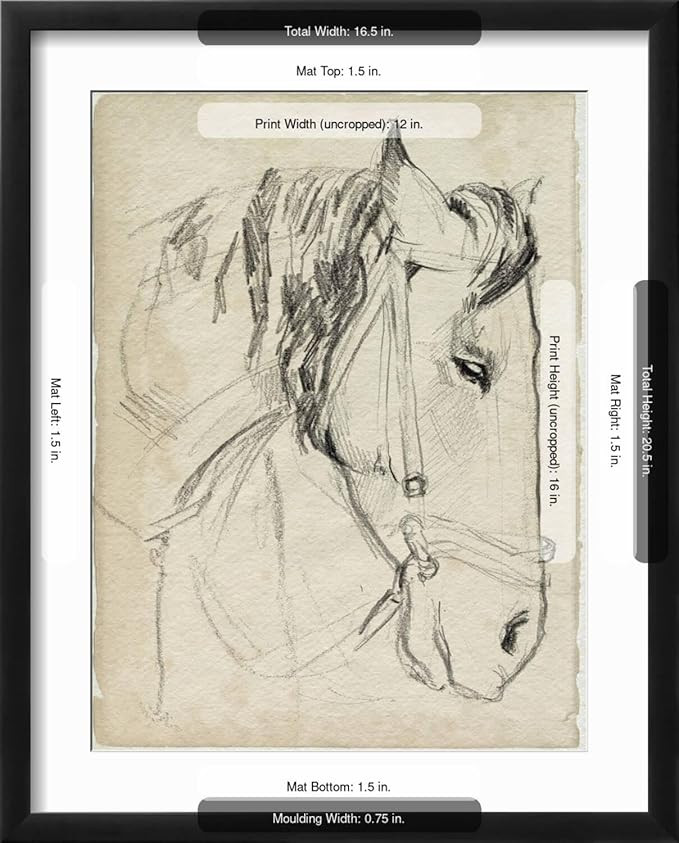 ART.COM Wall Art Print Horse in Bridle Sketch I on Black Frame by Jennifer Parker, 17" x 21" | Amazon (US)