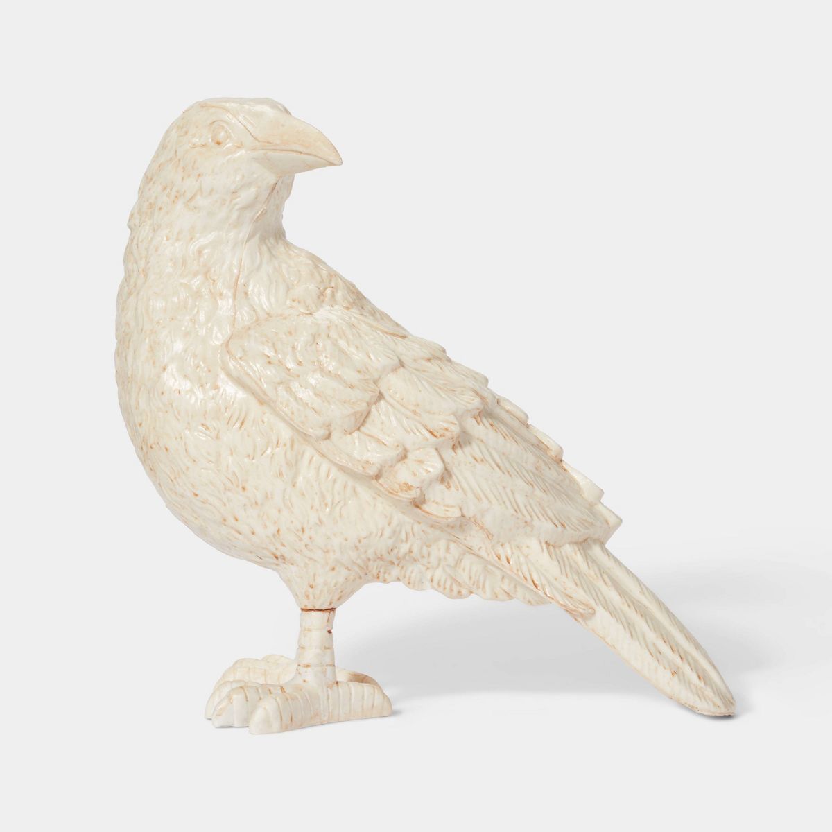 Plastic Cream Raven Halloween Decorative Sculpture - Hyde & EEK! Boutique™ | Target