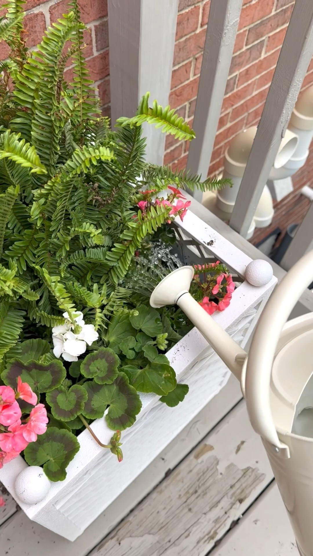 Watering can I love from Amazon!

#LTKHome
