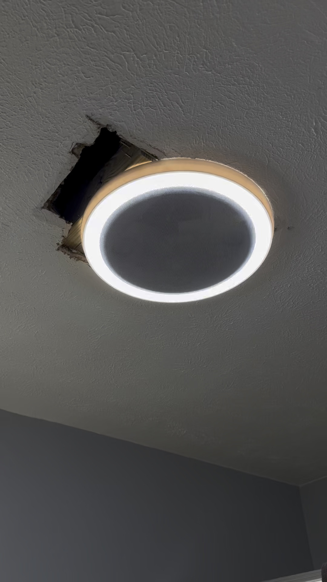 #LTKWatchNow #LTKHome #LTKFamily