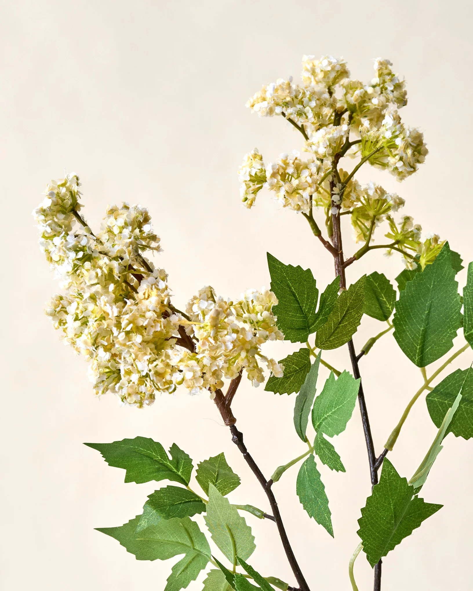 Crepe Myrtle Spray | Magnolia