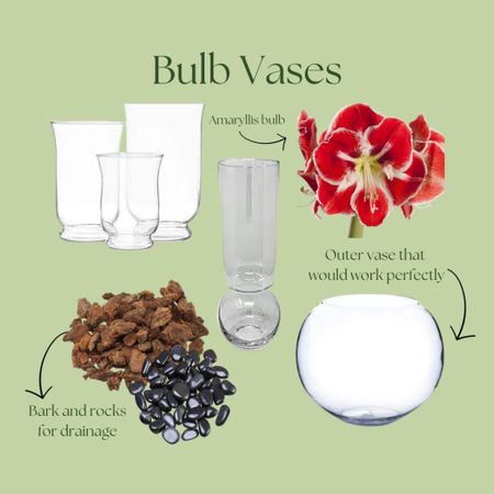 DIY Dutch Bulb Vase ❤️

#LTKVideo #LTKhome #LTKSeasonal