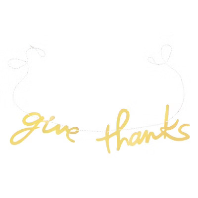 Thanksgiving 1ct Give Thanks Banner - Spritz™ | Target