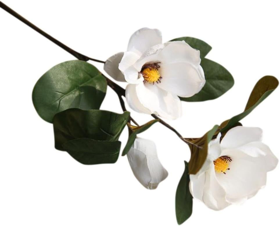 Tuscom Artificial Magnolia, Fake Flower Leaf for Wedding Party Home Office Garden Bridal Hydrange... | Amazon (US)