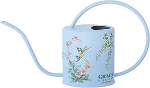 Watering Can for Indoor Plants - House Plant Watering can - Colorful, Decorative Indoor Water can... | Amazon (US)