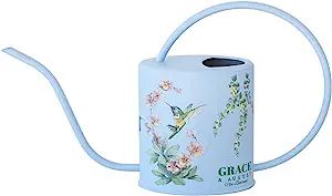 Watering Can for Indoor Plants - House Plant Watering can - Colorful, Decorative Indoor Water can... | Amazon (US)