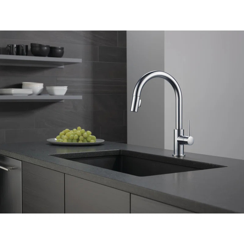 9159-AR-DST Trinsic Pull Down Single Handle Kitchen Faucet with Accessories | Wayfair North America