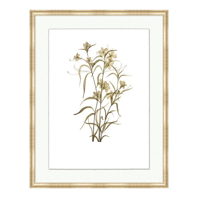 Fragile Blossoms Framed Art Print | Ballard Designs, Inc.