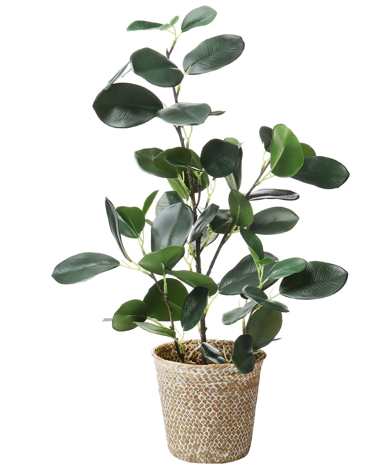 SAROSORA Artificial Ficus Tree Small Fake Plants in Weaved Pot 20" Height for Living Room Desktop... | Amazon (US)