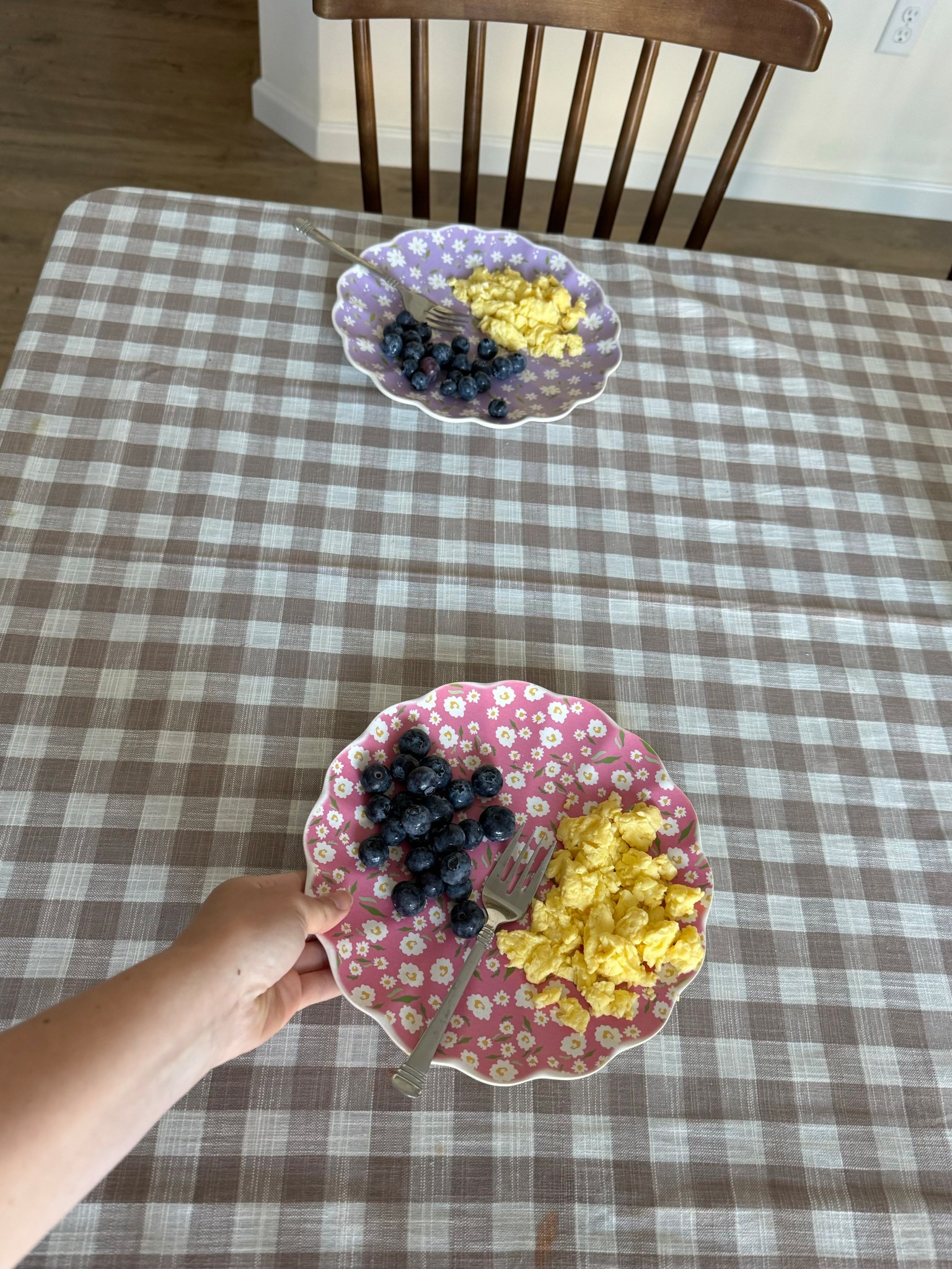 Safe to say the girls won’t be using any other plates this spring and summer🫶🏼😂

#spring #plates #floral #picnic #tablecloth #gingham

#LTKFamily #LTKHome #LTKKids