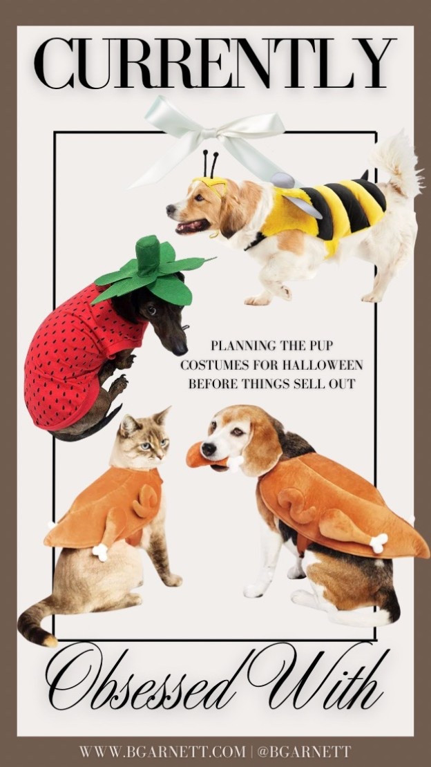 Currently shopping for the first kids Halloween costumes before things sell out 

Dog costumes | cat costumes | halloween costumes 

#LTKSeasonal #LTKFamily #LTKFindsUnder50