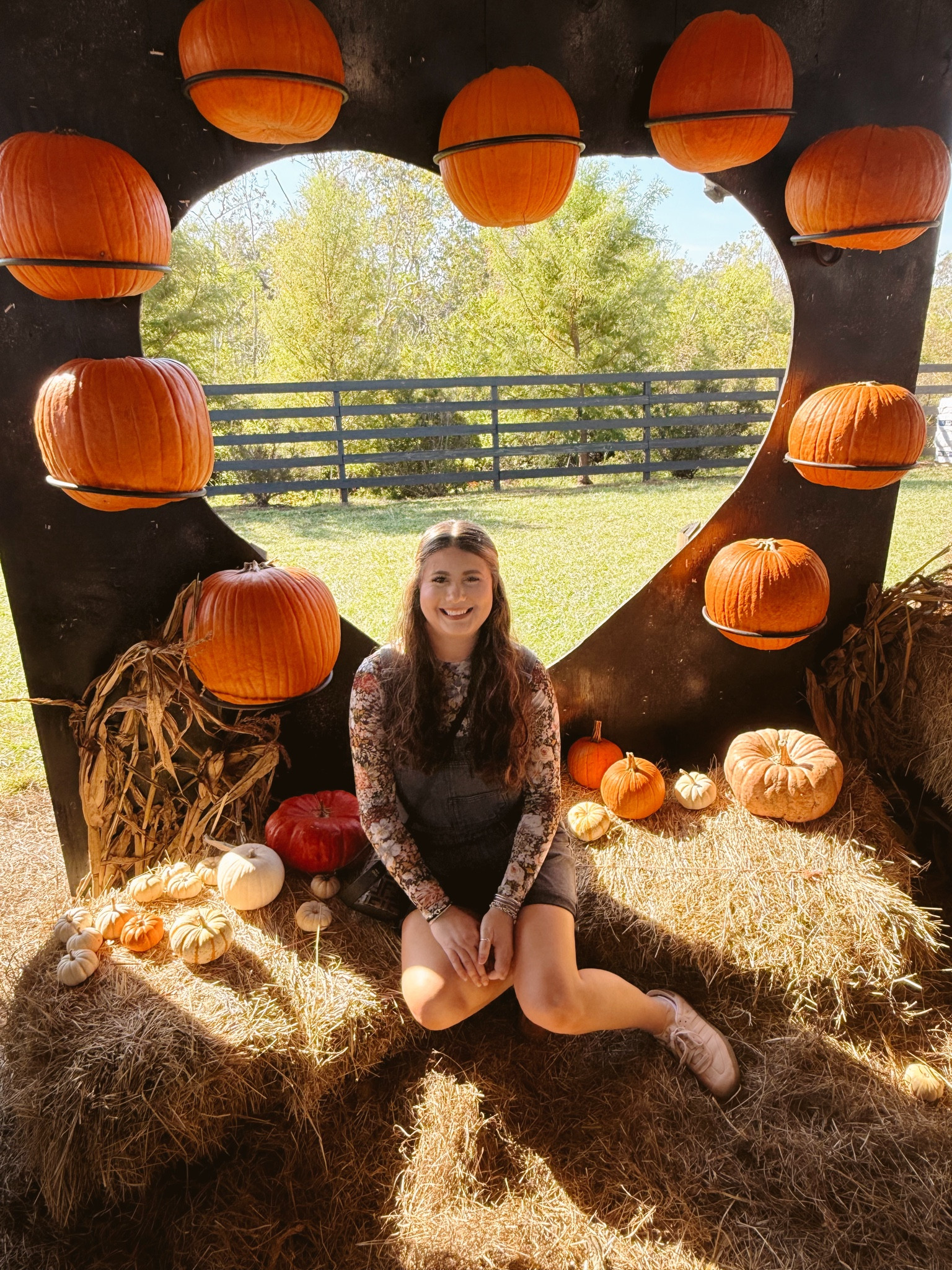 My pumpkin loving heart is happy🫶🏻🎃

#LTKSeasonal #LTKStyleTip #LTKHalloween