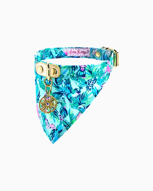 Dog Collar With Bandana Small/Medium | Lilly Pulitzer
