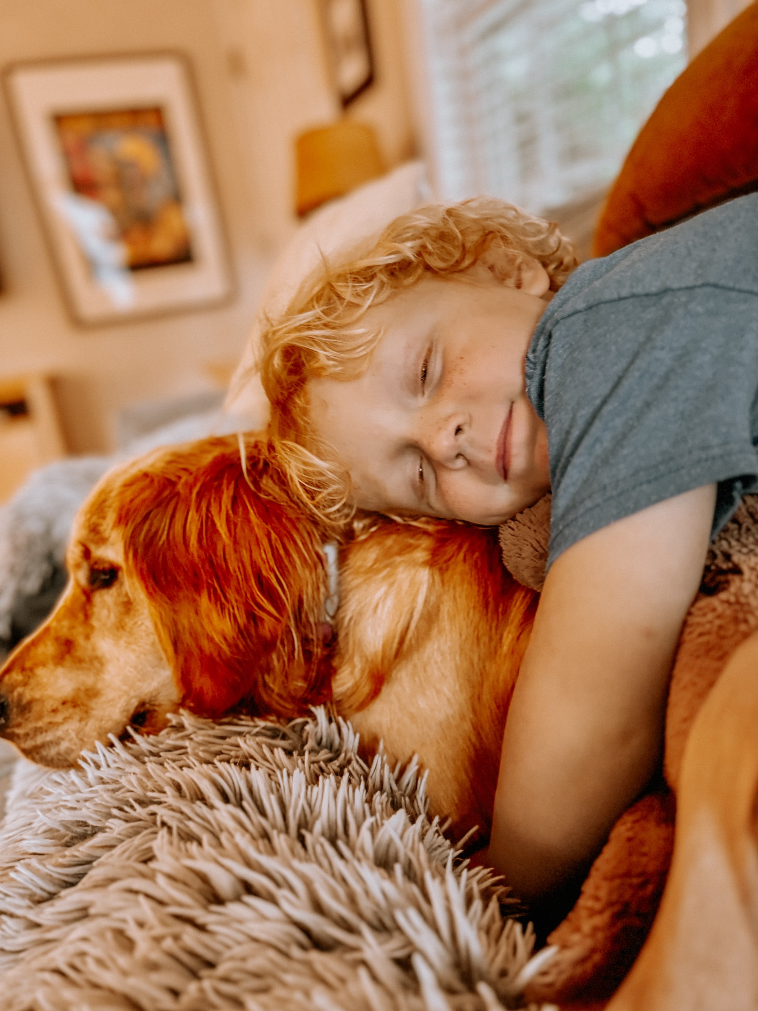 Cozy fall family essentials 🤎

Amazon finds, blankets, kids 

#LTKHome #LTKFamily #LTKKids