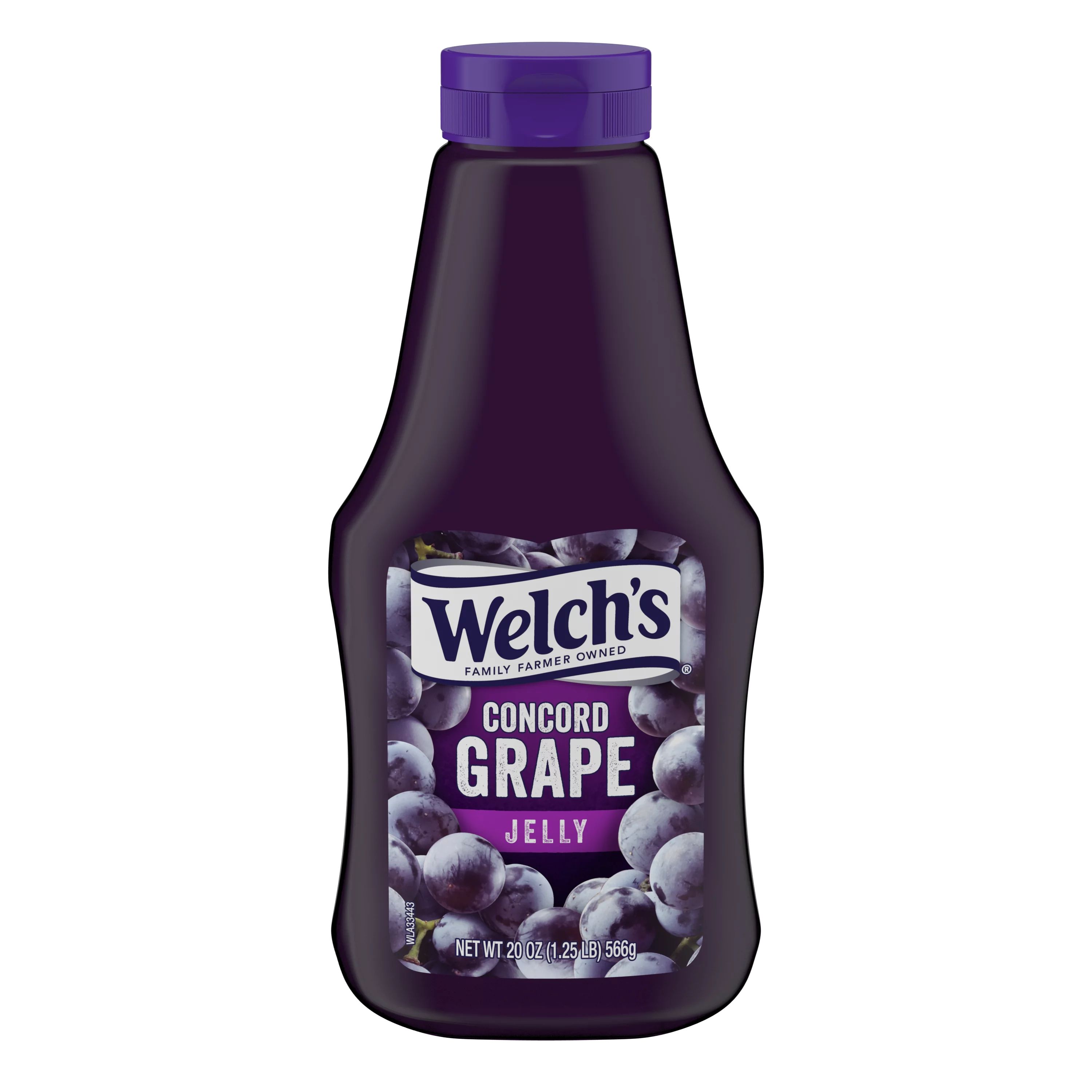 Welch's Concord Grape Jelly, 20 oz Squeeze Bottle - Walmart.com | Walmart (US)