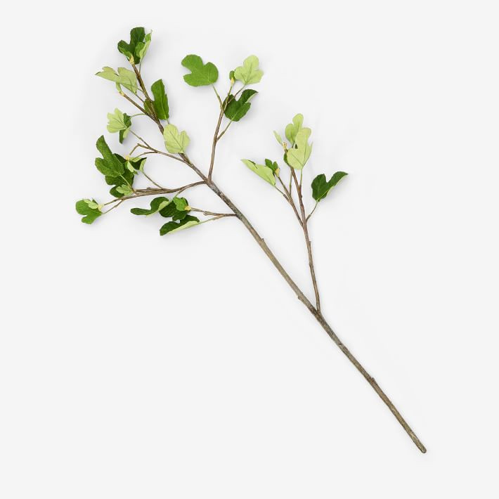 Faux Sassafras Albidum Branch | West Elm (US)