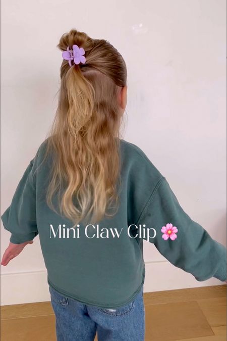 These little claw clips are so perfect for little girls! 
Comes in a large colorful pack on Amazon! 


#LTKkids #LTKbeauty