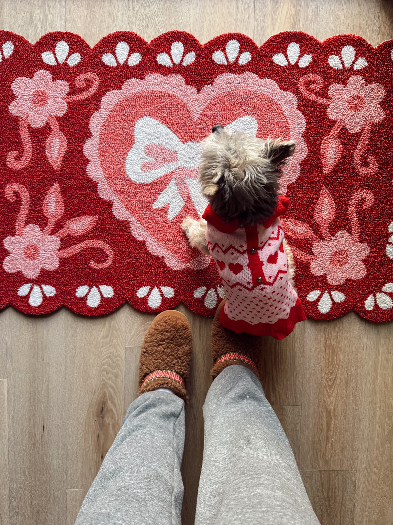 Rug is sold out 😭 but definitely keep checking your TJMAXX 

#LTKSeasonal #LTKFindsUnder50 #LTKHome