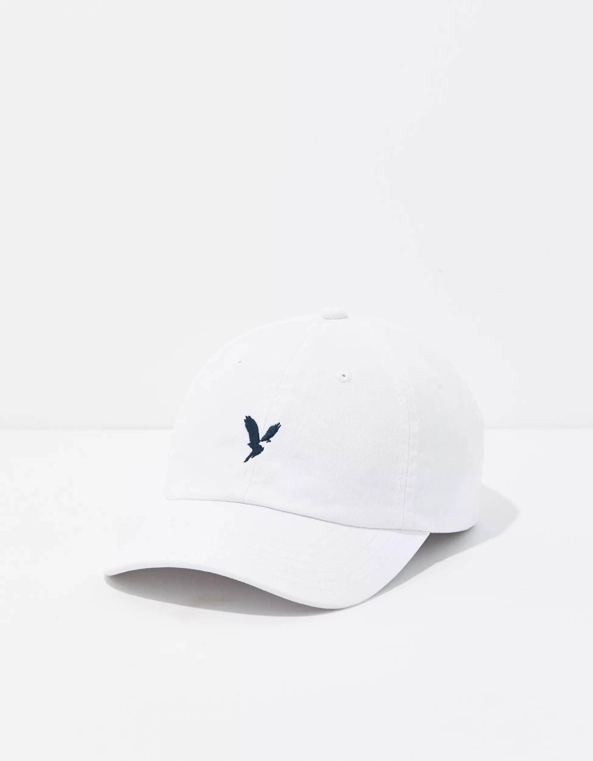 AEO Core Icon Hat | American Eagle Outfitters (US & CA)
