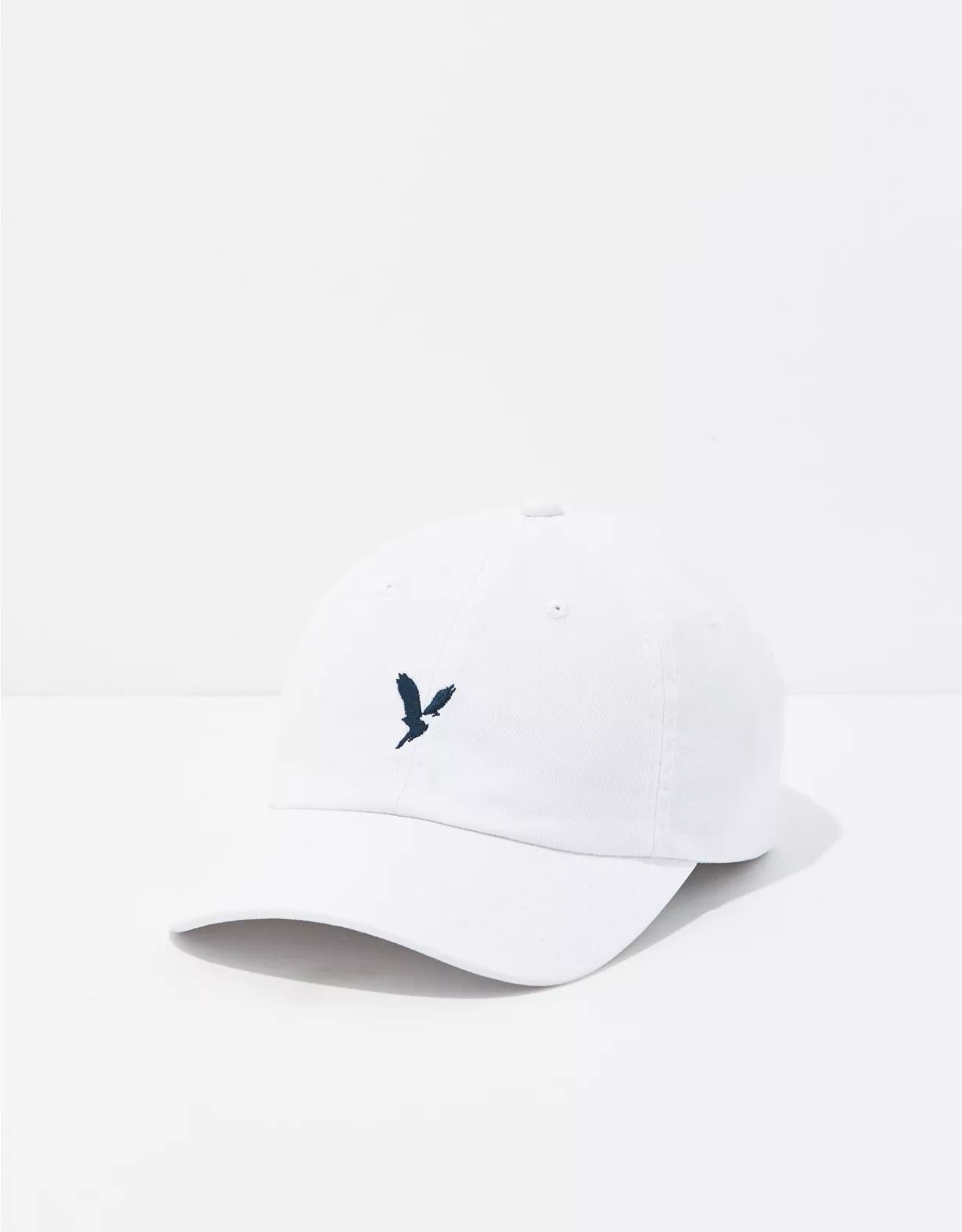 AEO Core Icon Hat | American Eagle Outfitters (US & CA)
