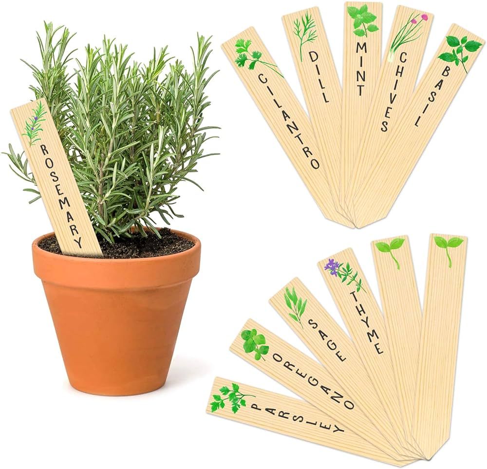 Wooden Plant Labels Sign Planted Assorted 12-Pack Kitchen Herbs! Outdoor Indoor Garden Stakes Garden | Amazon (US)