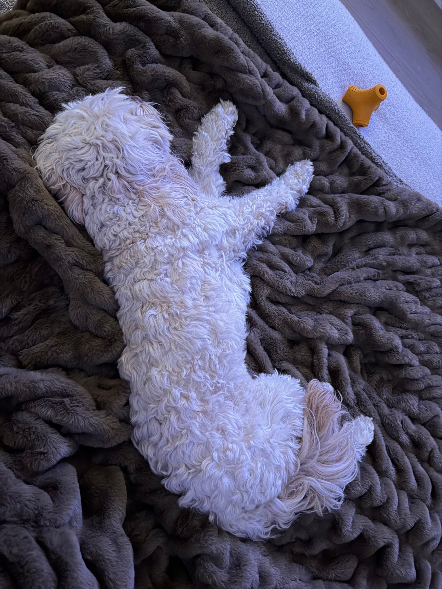 Louis loves his Lola blanket 😂 

#LTKdayinmylife #LTKmorningroutine #LTKHome