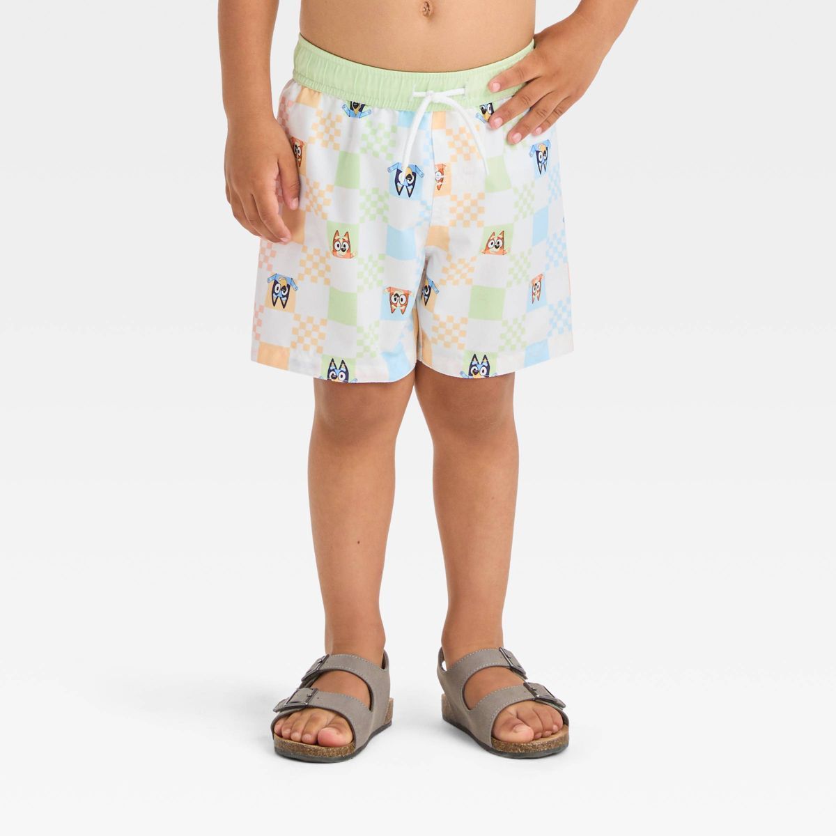 Toddler Boys' Bluey Checkered Swim Shorts - 2T | Target