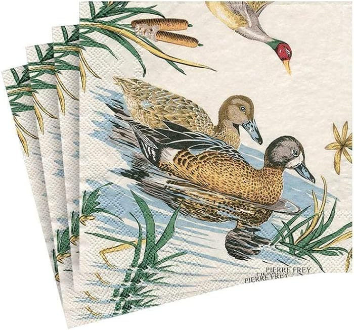 Caspari Sologne Paper Cocktail Napkins - 20 Per Package | Amazon (US)