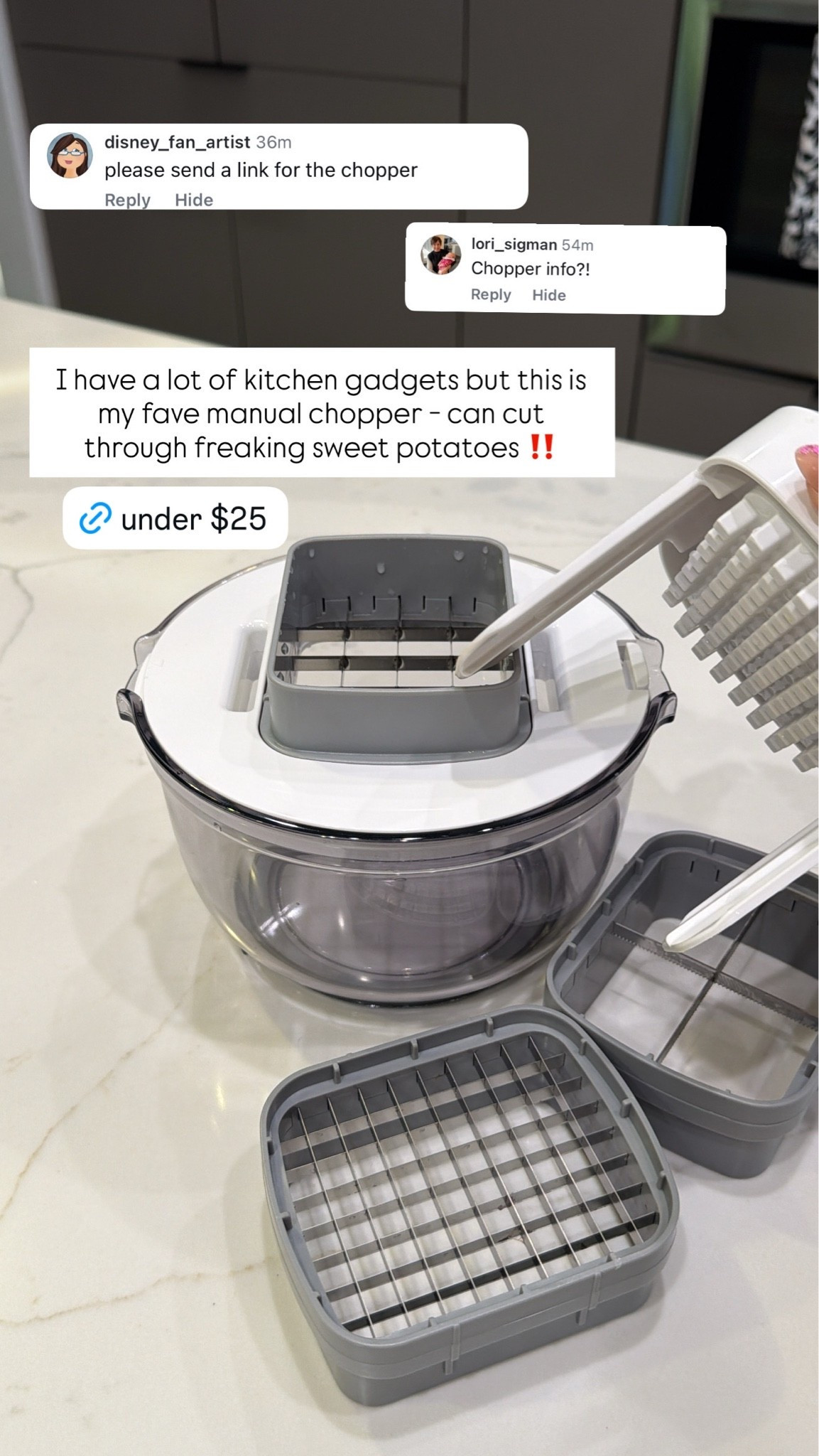 My Fave Veggie Chopper - Under $25

#LTKfoodie