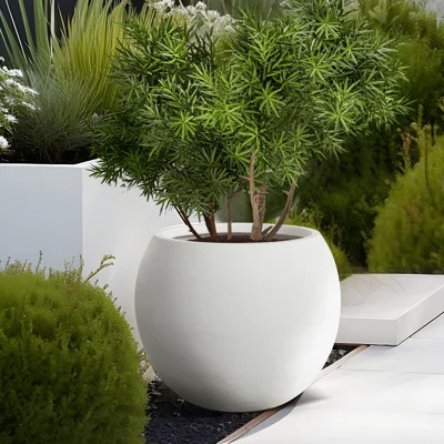 Modern Style Outdoor Planters For Porch, Round Planter With Drainage Hole, Mgo Flower Pots, Balcony Large Pot Planters | Wayfair North America
