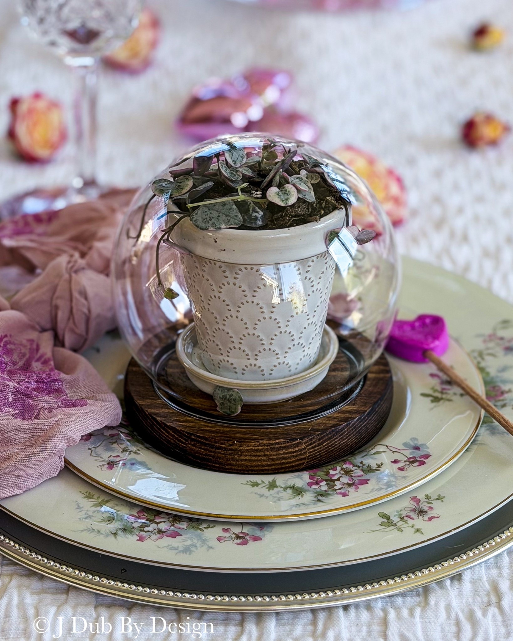 Plant Party Favors, Galentine’s Party Favors, small terrarium 

#LTKSeasonal #LTKHome #LTKValentine