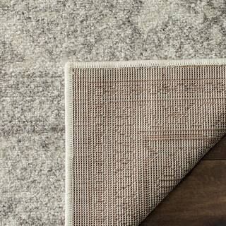 Adirondack Ivory/Silver 8 ft. x 10 ft. Border Medallion Area Rug | The Home Depot