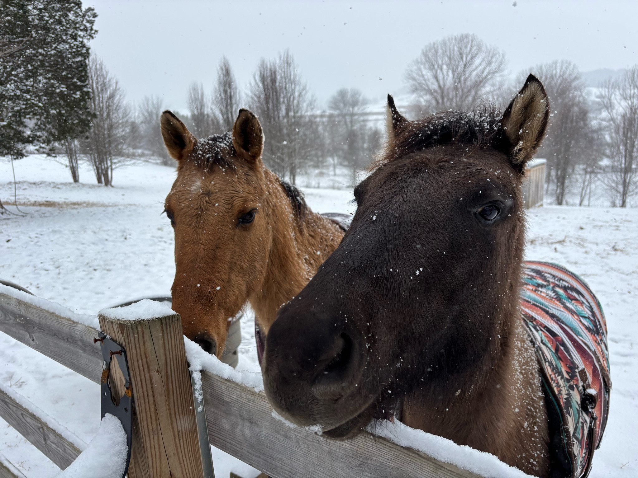 Good morning boops 🤍🤠

#LTKWorkwear #LTKFindsUnder100 #LTKSeasonal