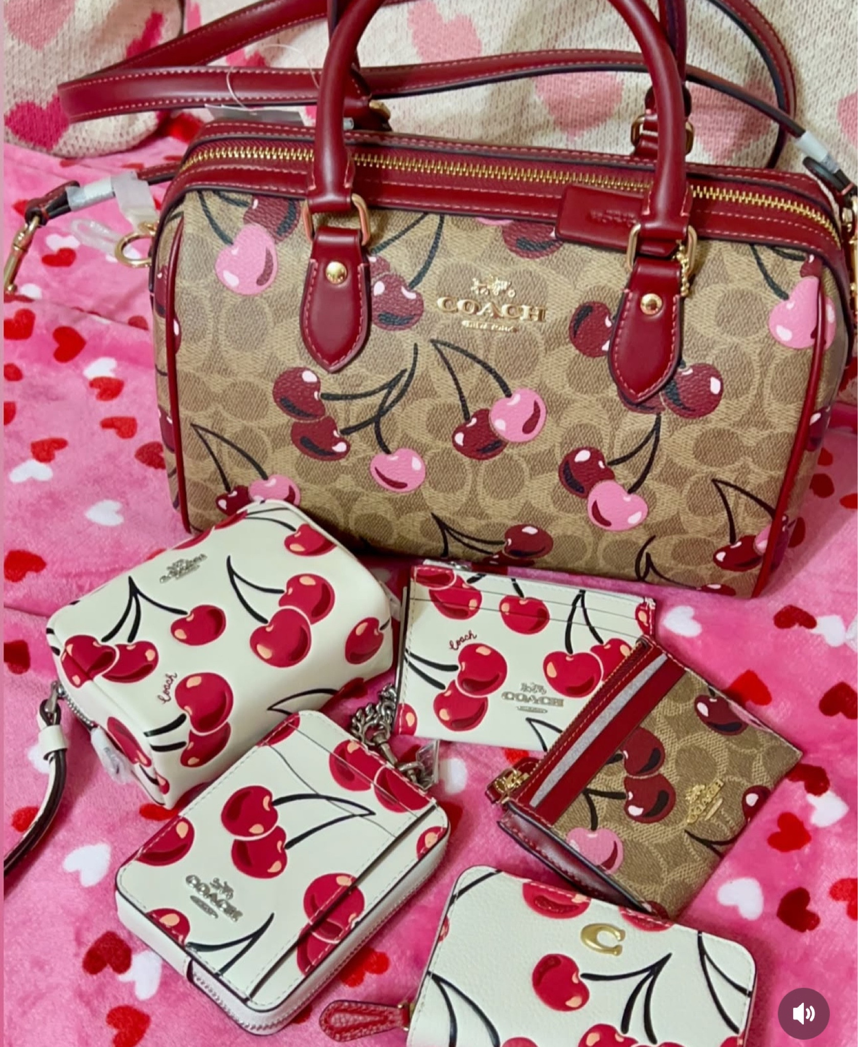 Cherry 🍒 signature canvas at Coach 

#LTKGiftGuide #LTKItBag #LTKSeasonal