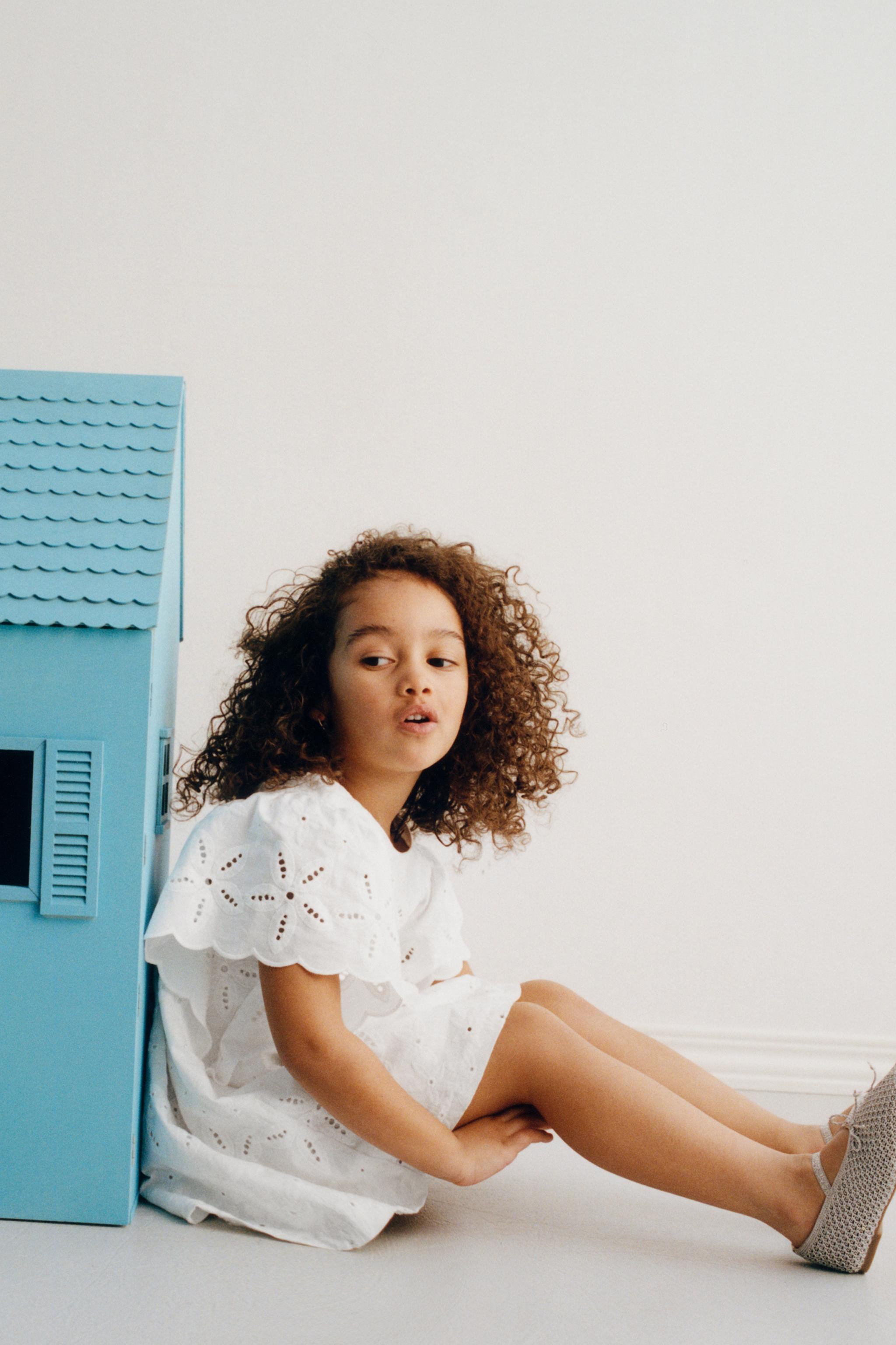 EMBROIDERED DRESS | Zara US