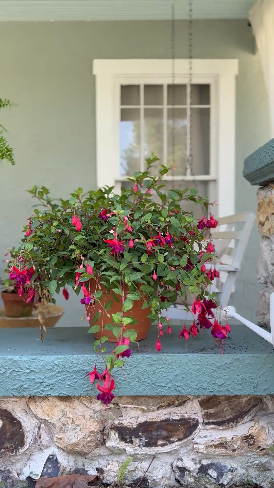 Spring porch refresh 

#LTKSaleAlert #LTKHome