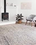 Amazon.com: Loloi II Lucia Collection LUC-03 Steel / Ivory, Transitional 9'-3" x 13'-3" Area Rug ... | Amazon (US)