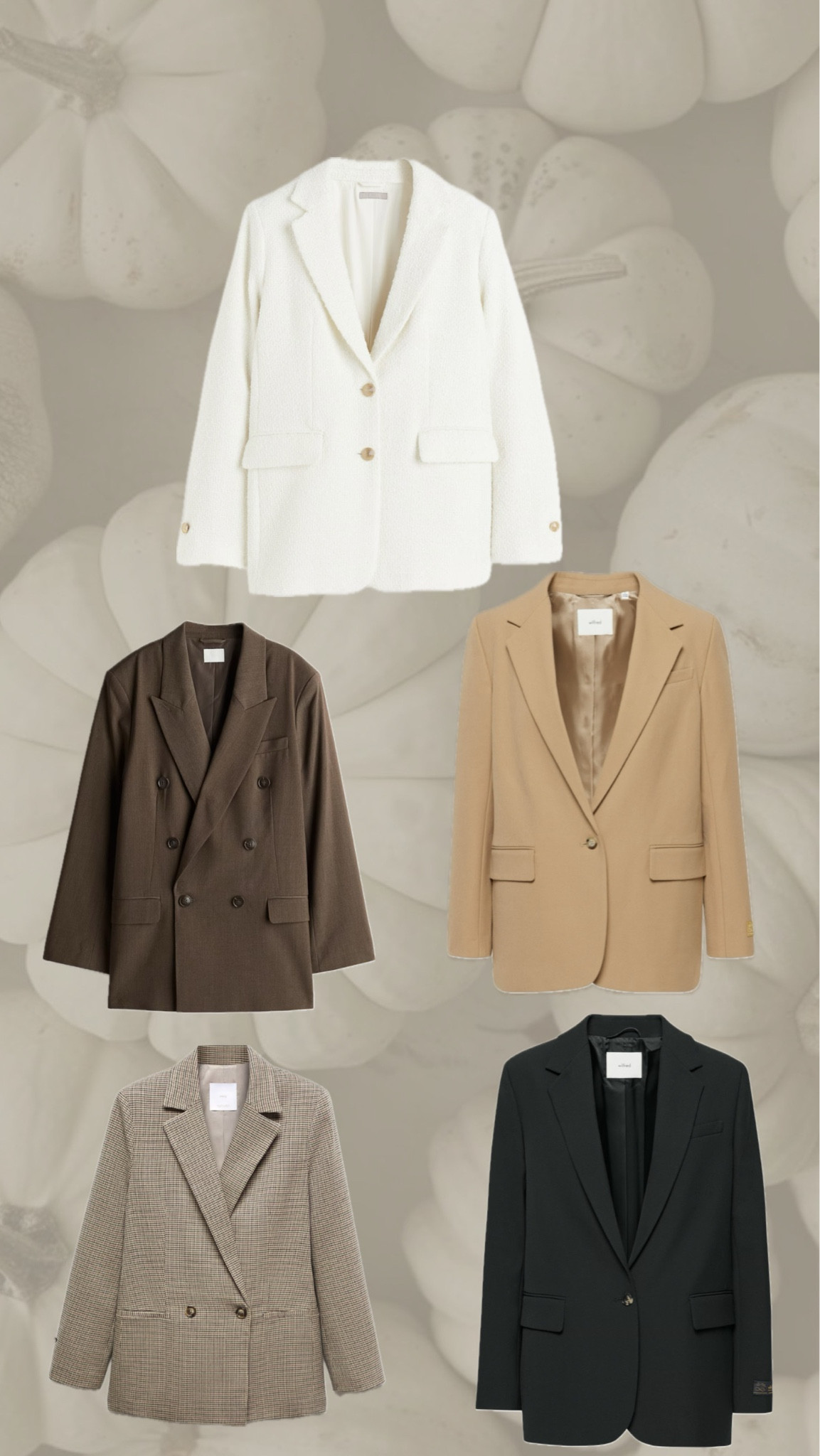 Top 5 Blazers in my Closet 

#LTKWorkwear #LTKStyleTip #LTKFindsUnder50
