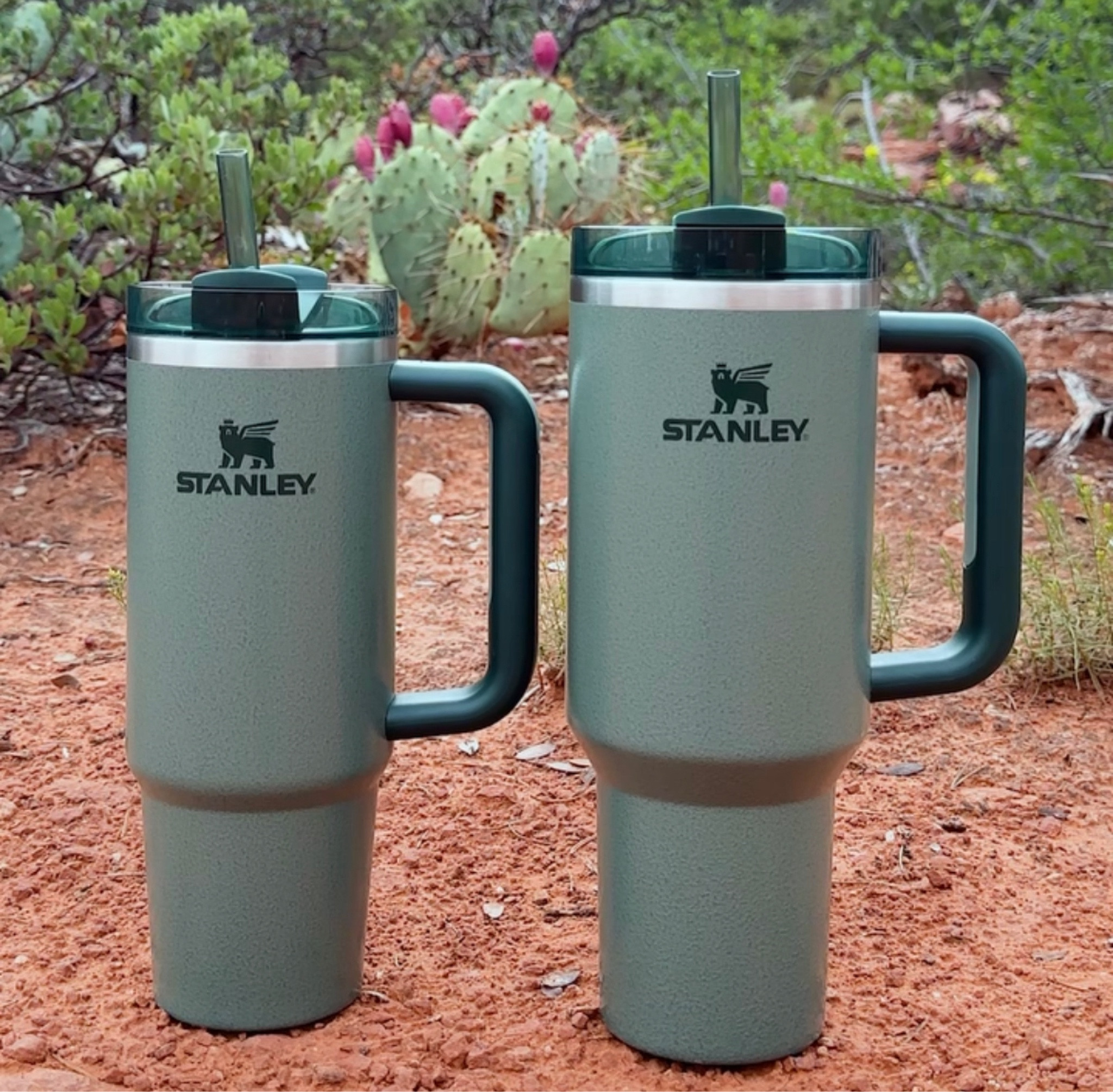 New Stanley Quenchers | 40oz Stanley

#LTKfindsunder50 #LTKfamily #LTKGiftGuide