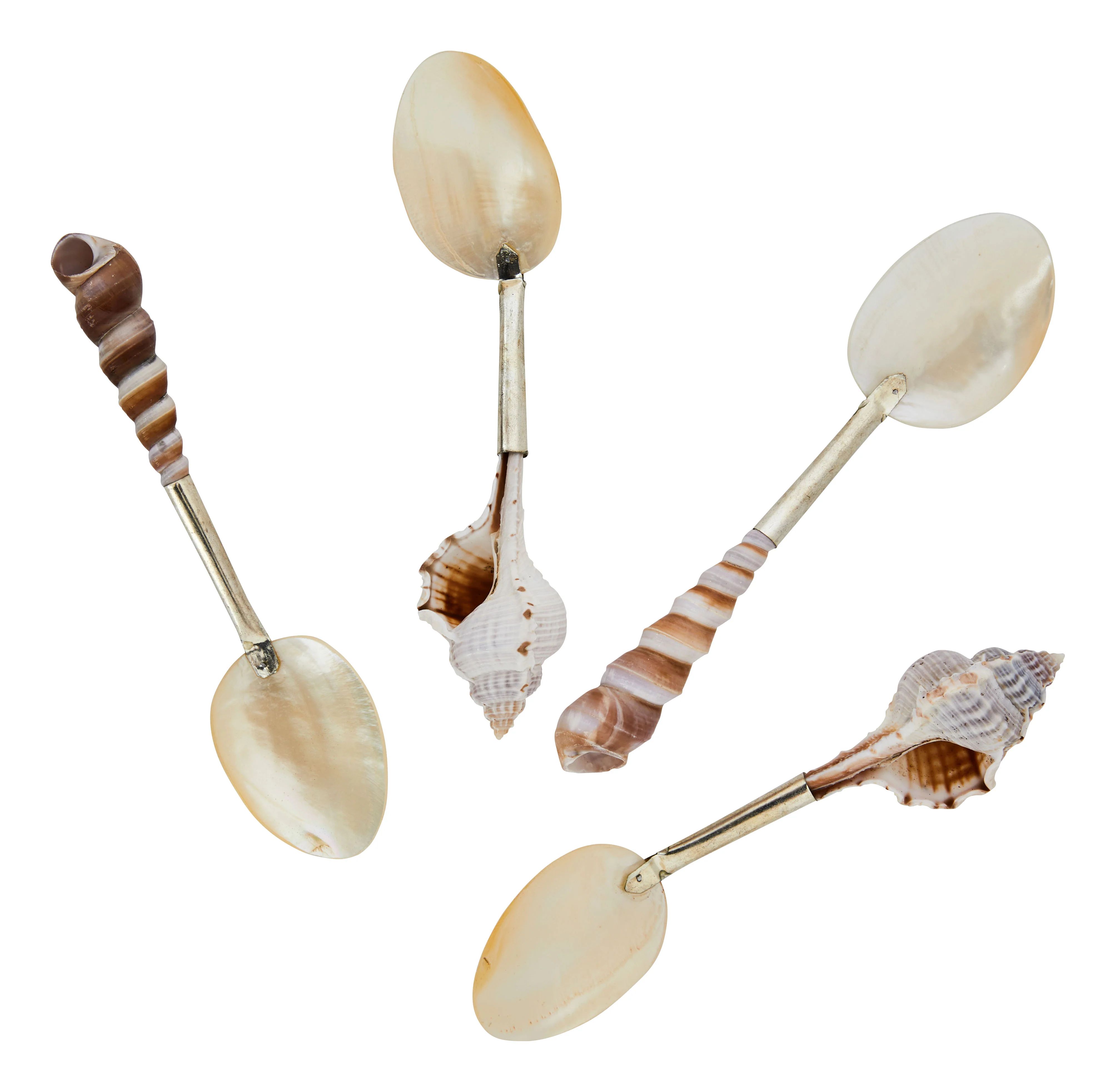 Shell Spoons | Jayson Home