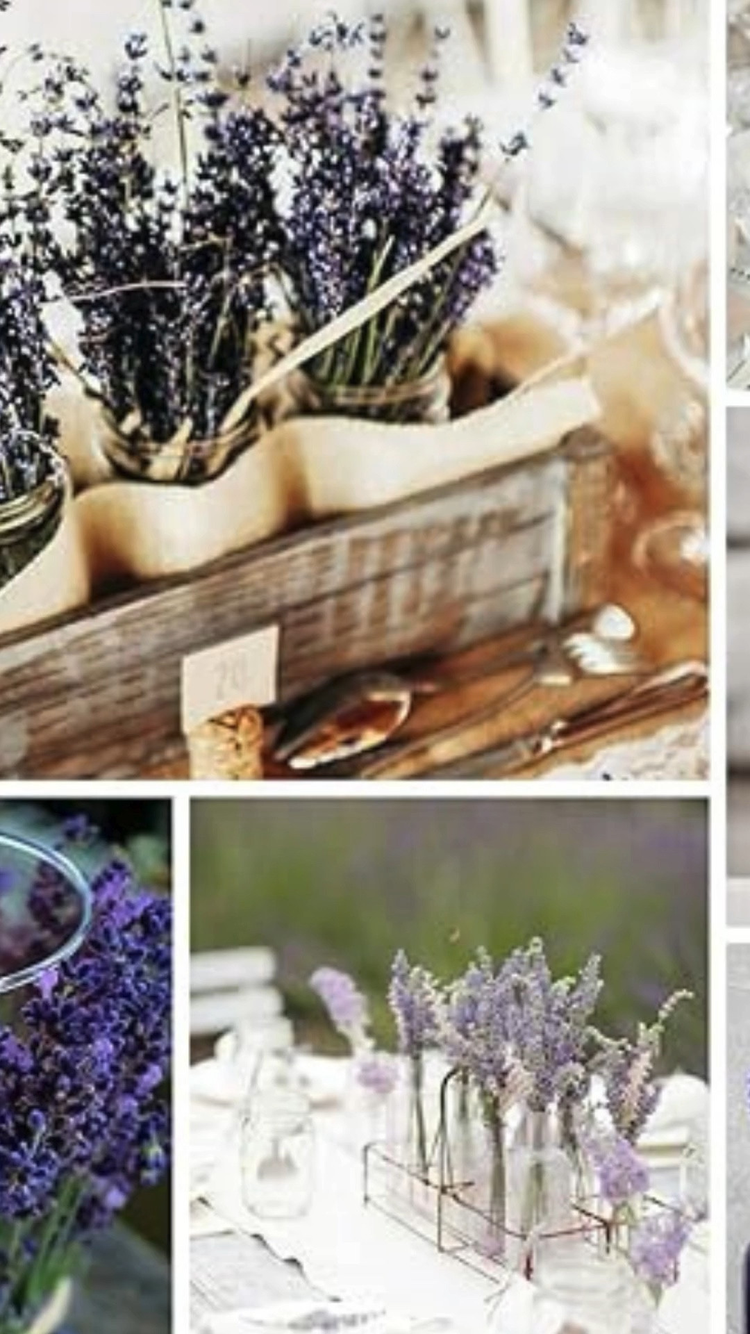 
Introducing our French Country Accessories Collection—the perfect way to bring the charm and warmth of the French countryside into your home. This curated collection features timeless pieces that effortlessly add a cozy and elegant flair to any space, making it easy to create a welcoming, lived-in atmosphere.

Inspired by classic French country living, our accessories include everything from delicately crafted vases and rustic candle holders to vintage-inspired picture frames and decorative trays. Each item is carefully selected to embody the essence of French provincial design, blending rustic simplicity with refined elegance. Whether you’re refreshing your living room, adding charm to your kitchen, or setting a beautiful table for family gatherings, these accessories offer the perfect finishing touches.

With soft hues, natural textures, and intricate details, this collection adds both character and charm, helping to create spaces that feel both timeless and inviting. From the distressed finishes to the antique-inspired designs, every piece in the French Country Accessories Collection captures the essence of French decor, ensuring your home feels cozy, sophisticated, and effortlessly stylish.

Elevate your home with the enduring beauty of French country style—these accessories are sure to become treasured accents for years to come.

#LTKFindsUnder100 #LTKHome #LTKSaleAlert