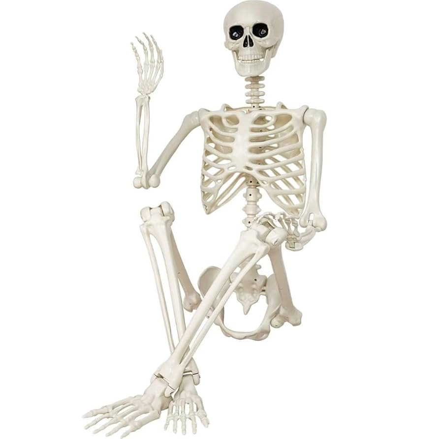 Brand: GCNBCNB | Amazon (US)