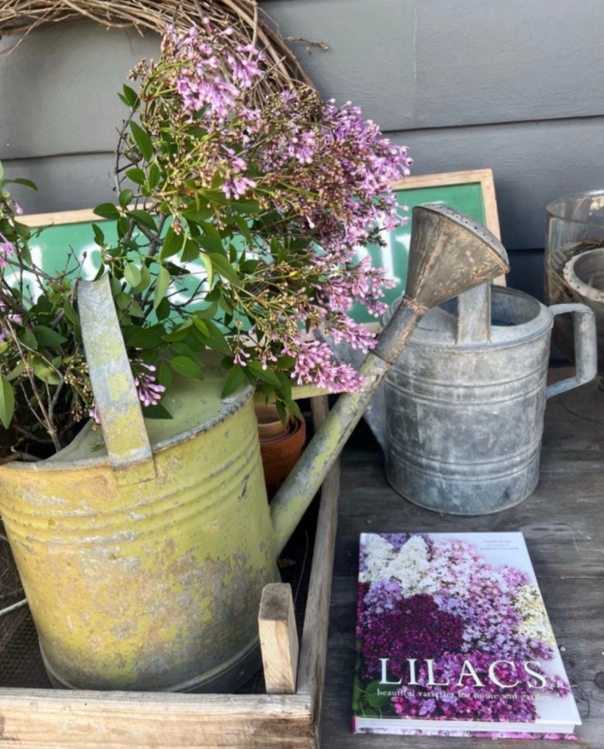 This book is pure floral eye candy! Filled with stunning lilac imagery and timeless inspiration, it’s one I find myself reaching for again and again. Perfect for flipping through with a cup of tea and dreaming up garden plans 💖




#LTKHome #LTKSeasonal #LTKU