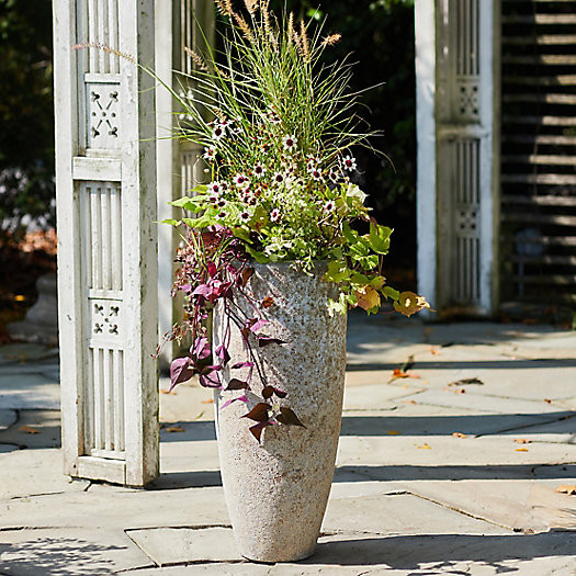 Barnacle Tall Modern Pot, 10" | Terrain