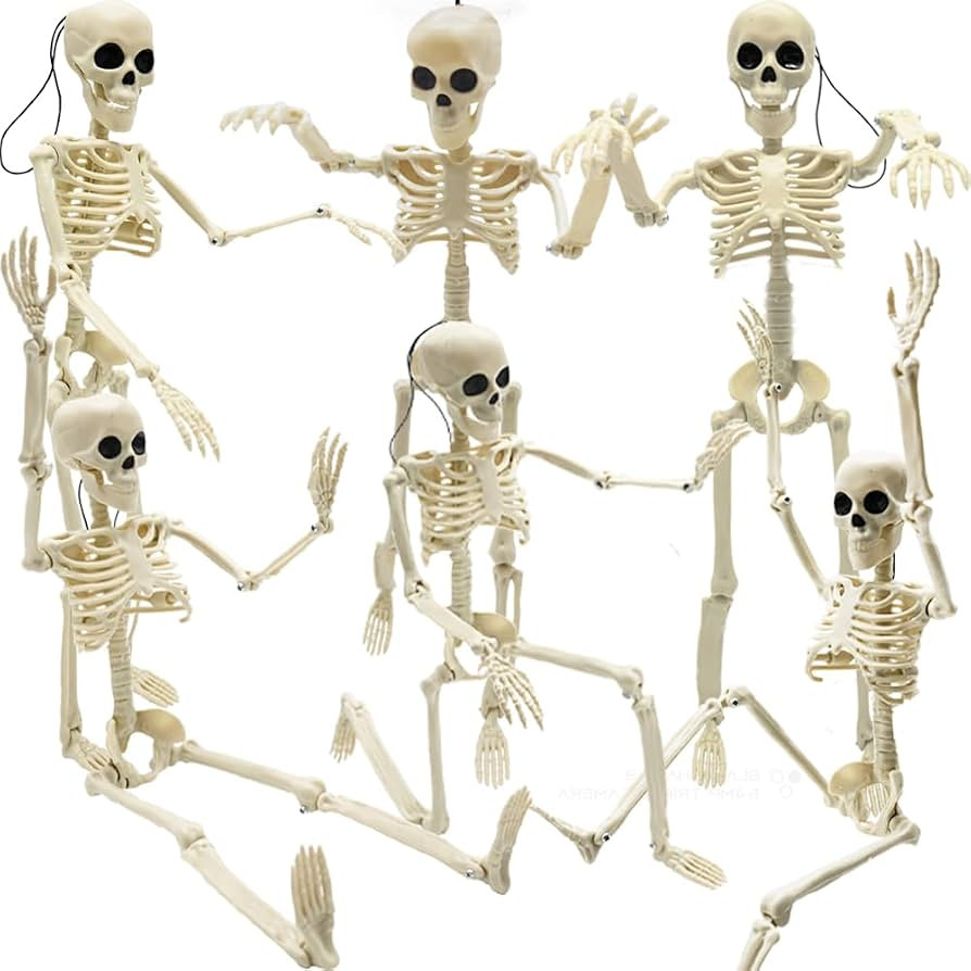 6PCS Skeleton Halloween Decorations, 16 in Full Body Poseable Small Skeleton Plastic Bones with M... | Amazon (US)