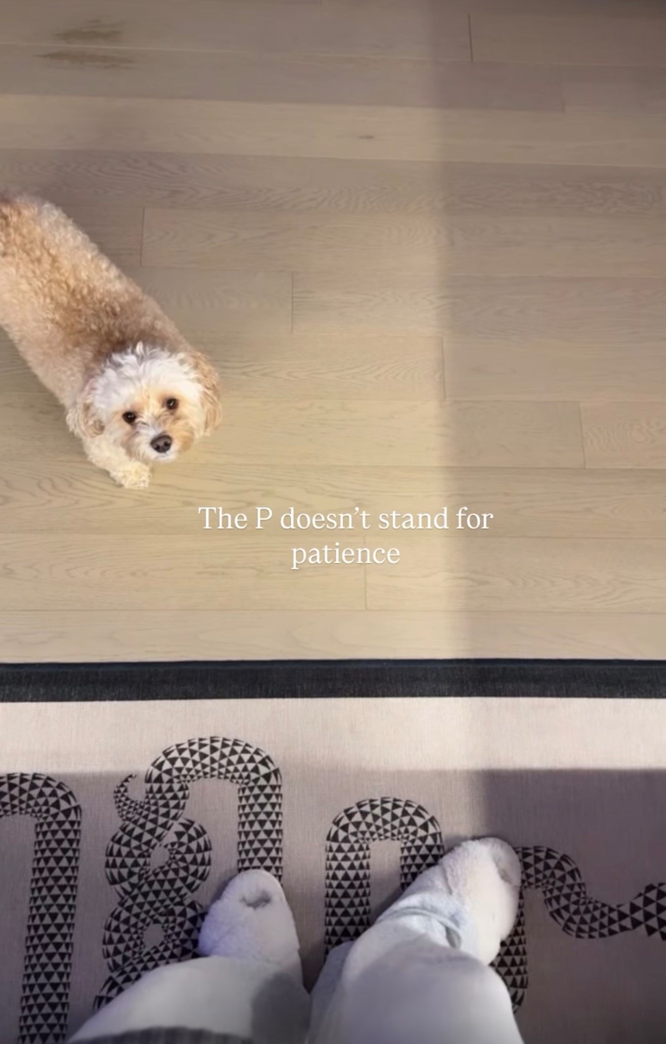 #LTKmomlife #LTKHome #LTKSaleAlert