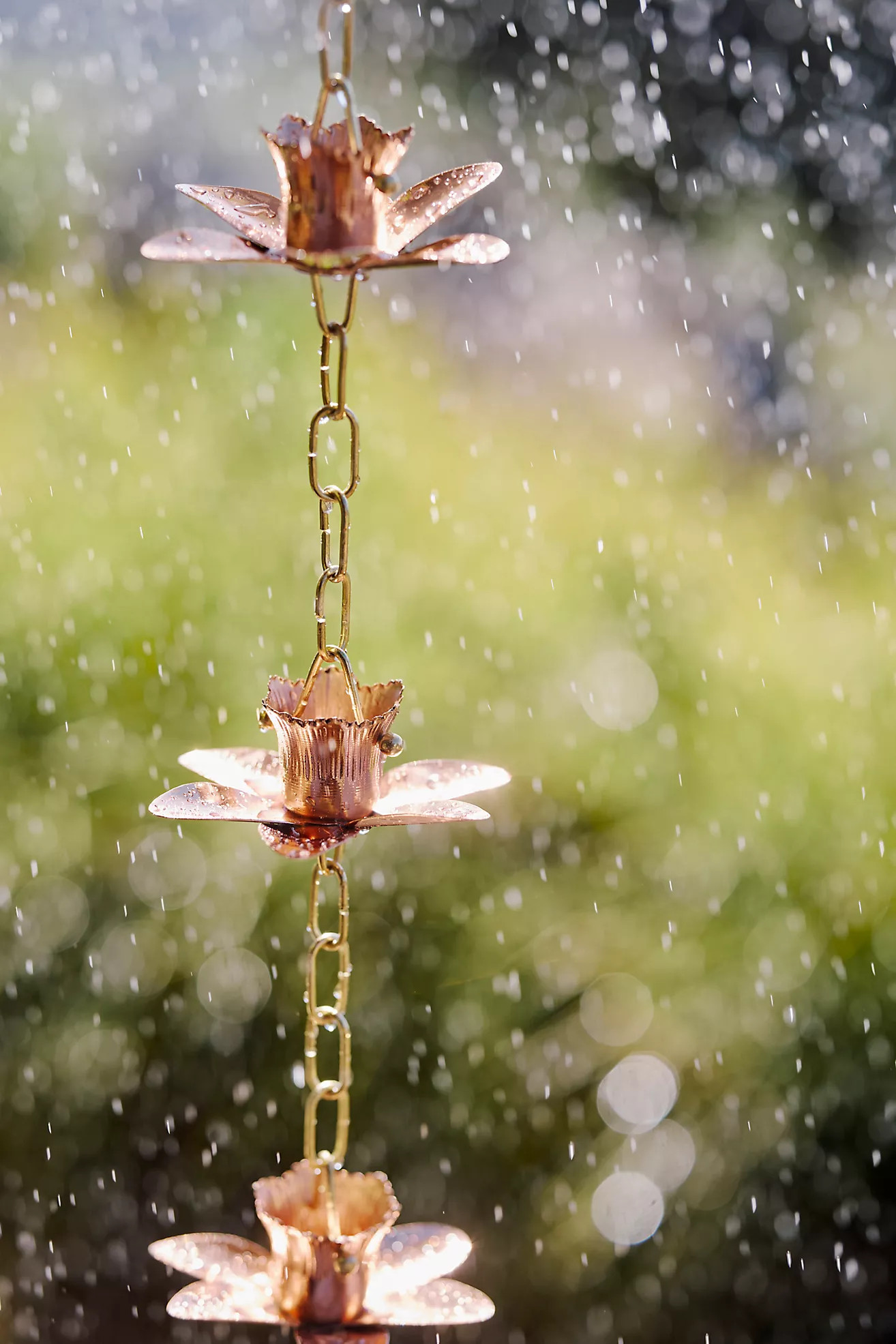 Daffodil Copper Rain Chain | Terrain