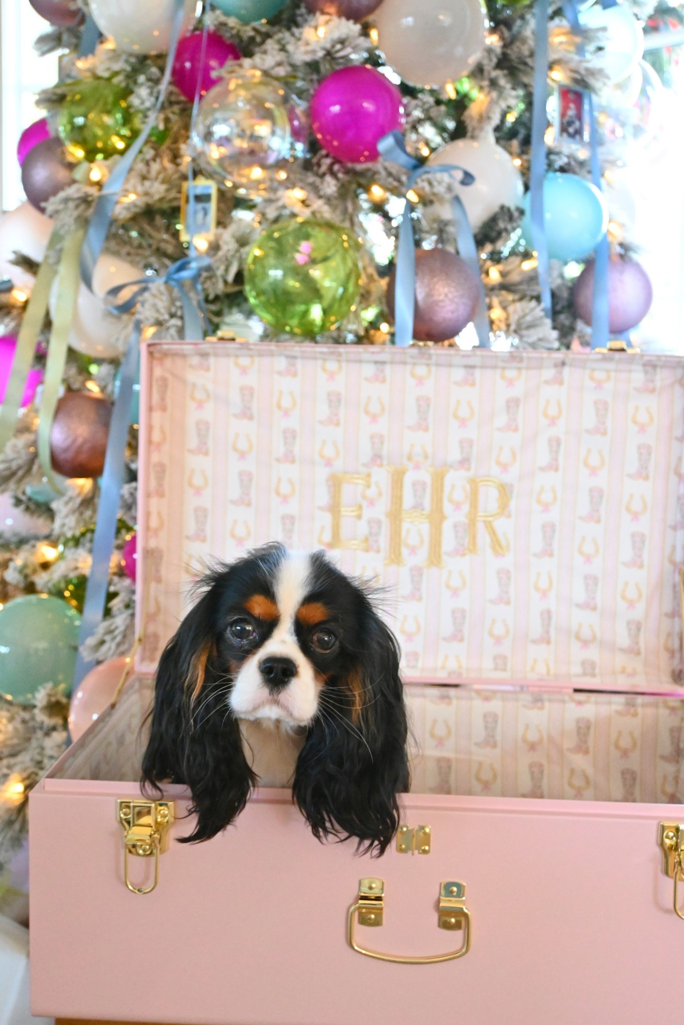 My Petite Keep Trunks! 

#LTKGiftGuide #LTKHoliday