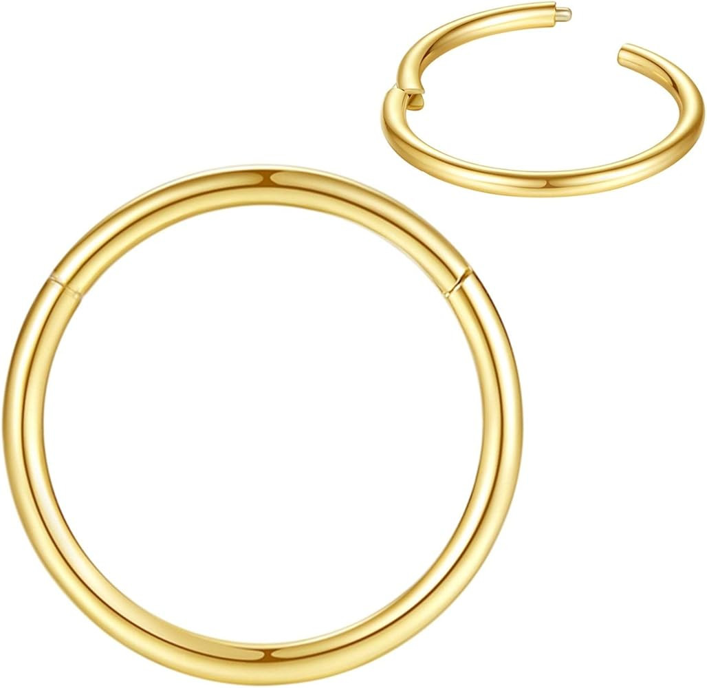 316L Surgical Steel Nose Rings Hoop Septum Clicker Hinged Segment Ring Lip Ear Piercing Earrings ... | Amazon (US)