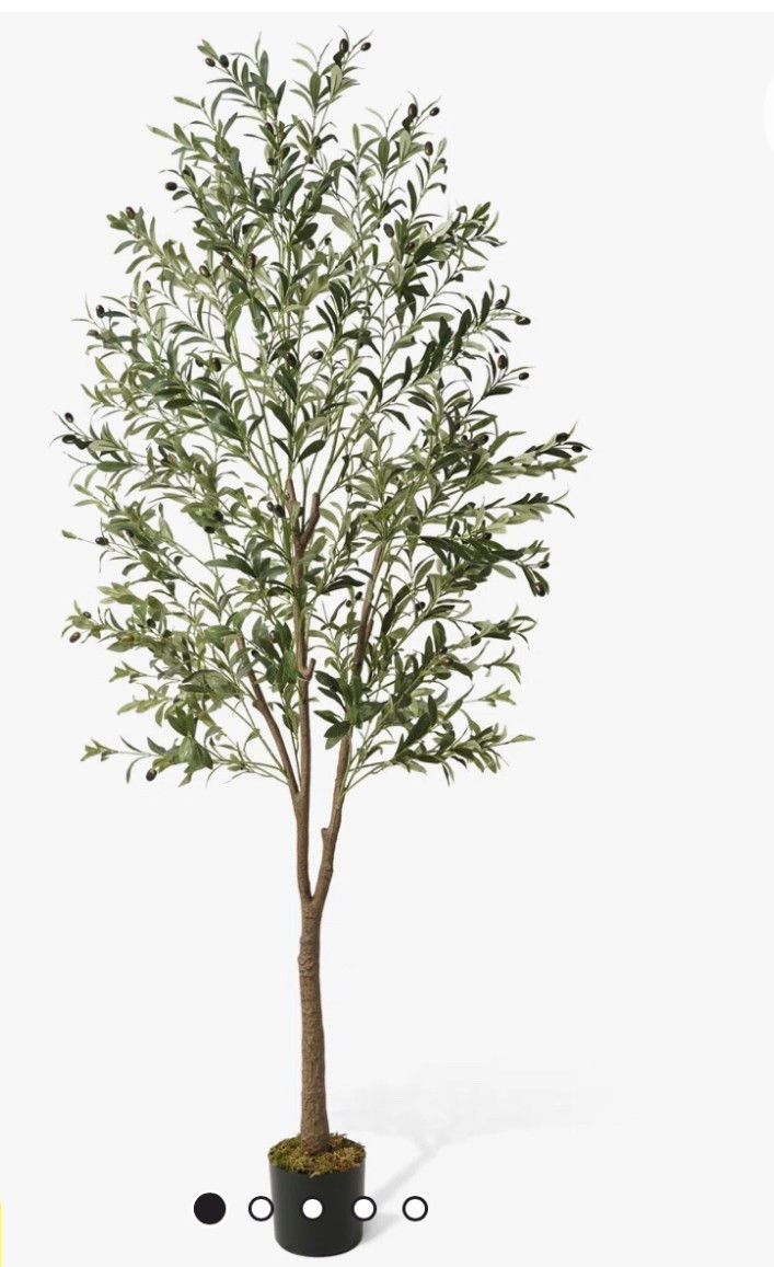 Plant for home✨

#LTKHome #LTKU